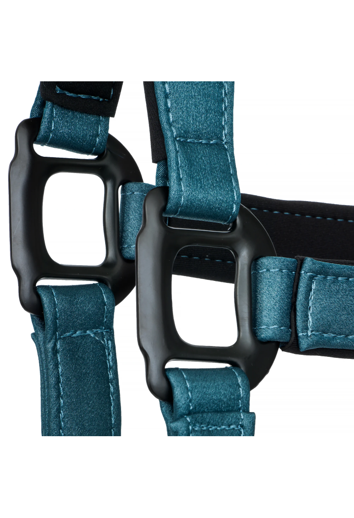 Cavezza EQUESTRIAN QUEEN Stuttgart 26
