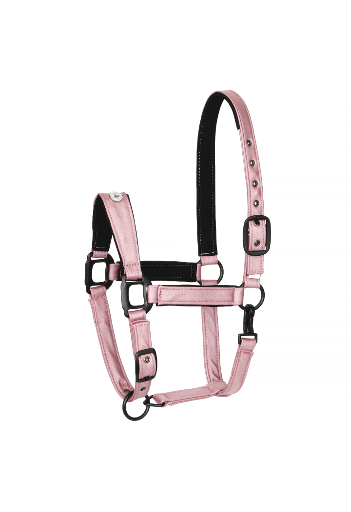 Cavezza EQUESTRIAN QUEEN Stuttgart 26