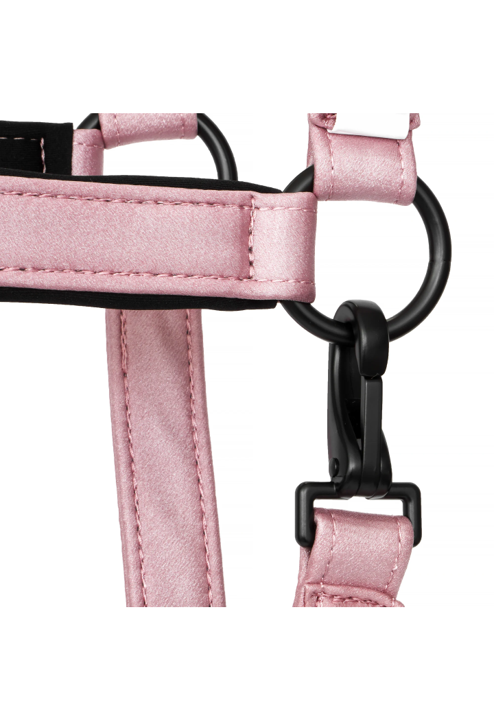 Cavezza EQUESTRIAN QUEEN Stuttgart 26