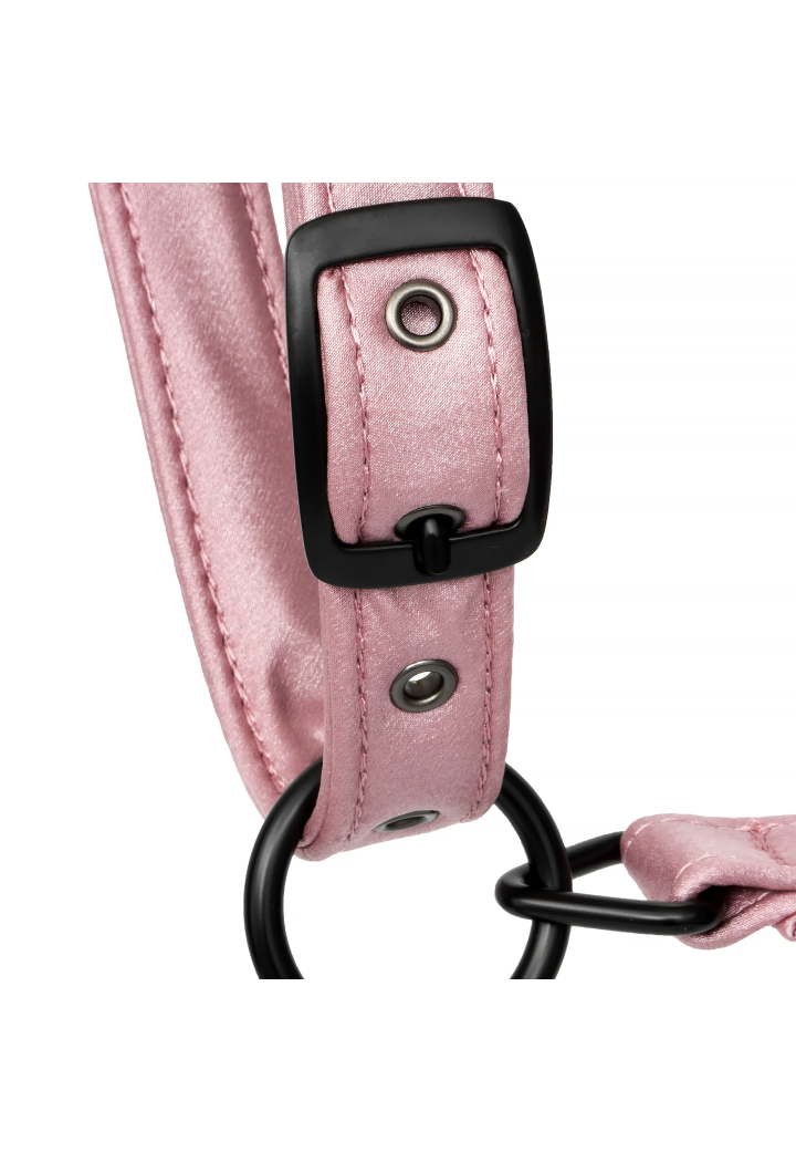 Cavezza EQUESTRIAN QUEEN Stuttgart 26