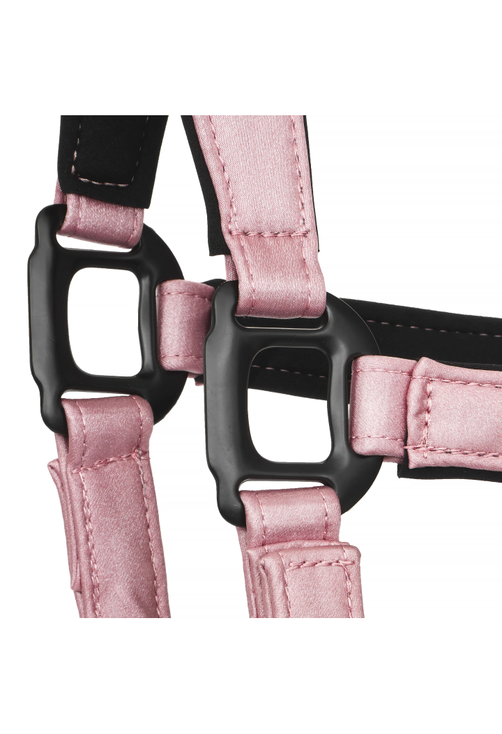 Cavezza EQUESTRIAN QUEEN Stuttgart 26