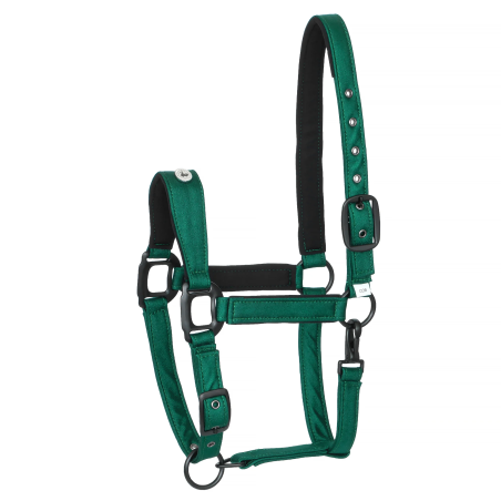 Cavezza EQUESTRIAN QUEEN Stuttgart 26