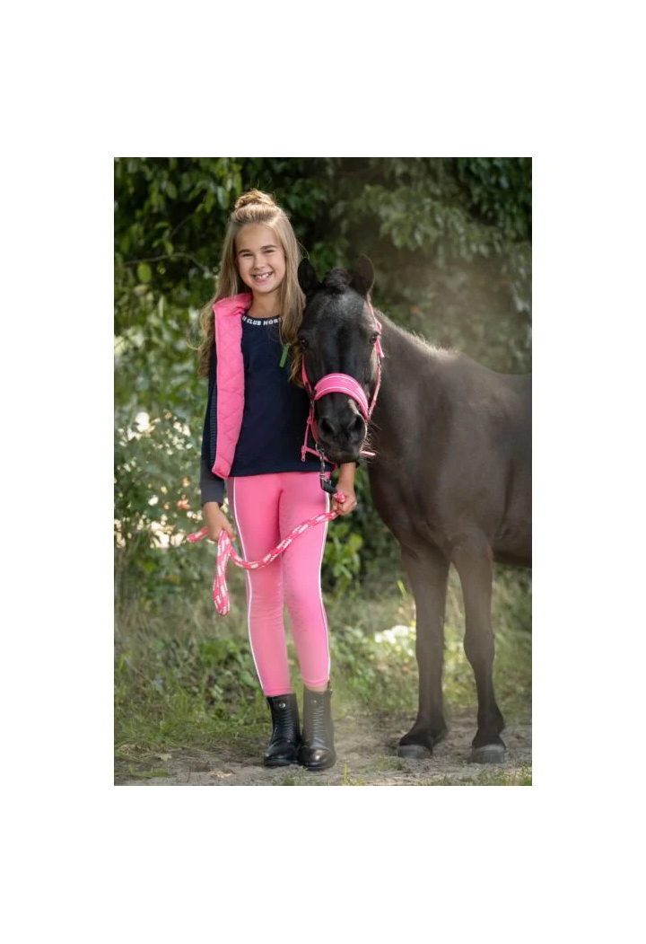 Cavezza per HKM Maui Shettys
