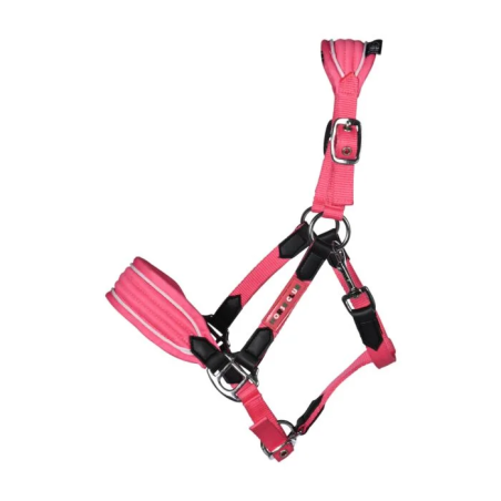 Cavezza per HKM Maui Shettys