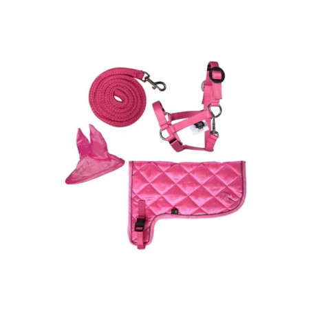 Set di neon HKM Hobby Horse