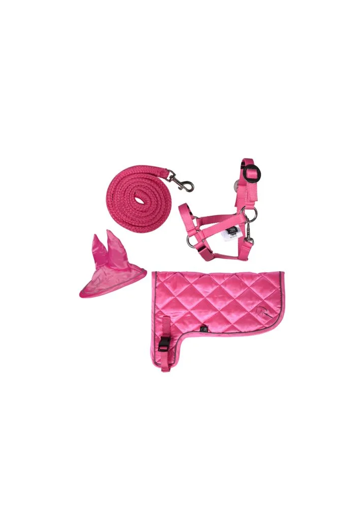 Set di neon HKM Hobby Horse