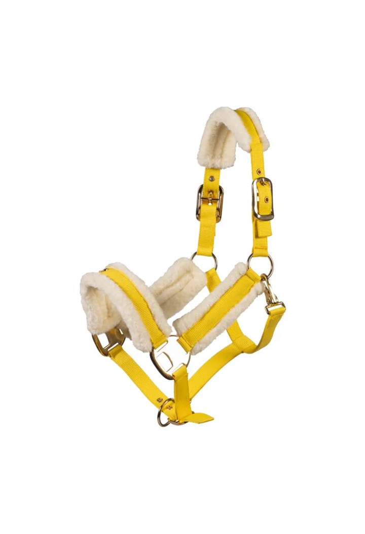 Cavezza HKM Limone Elegant