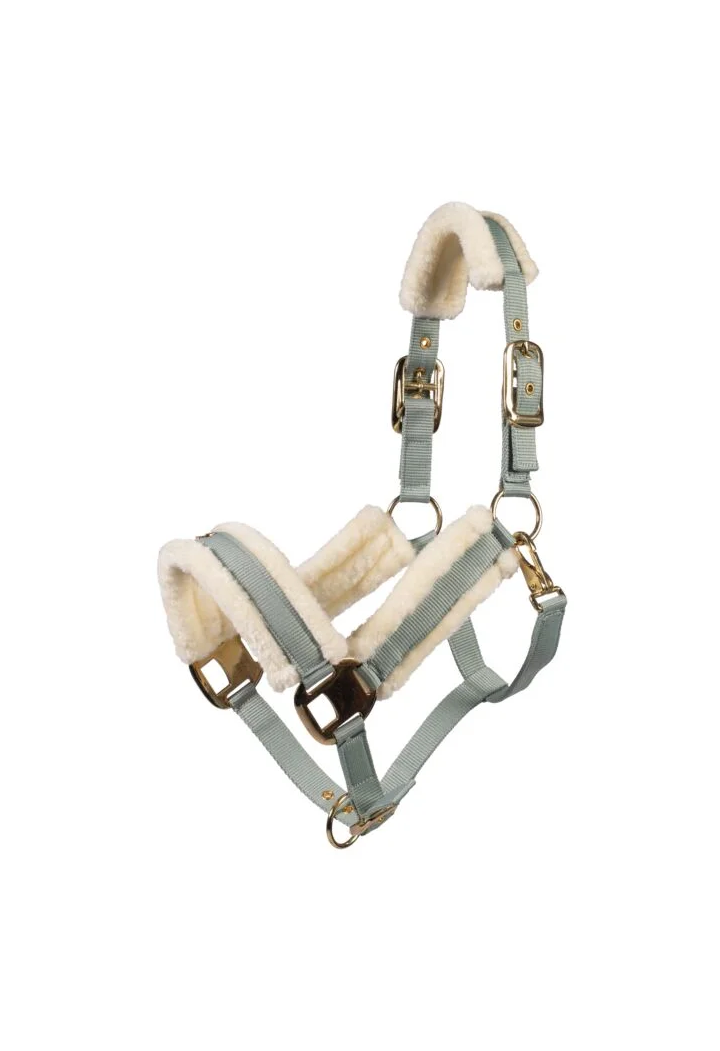 Cavezza HKM Limone Elegant