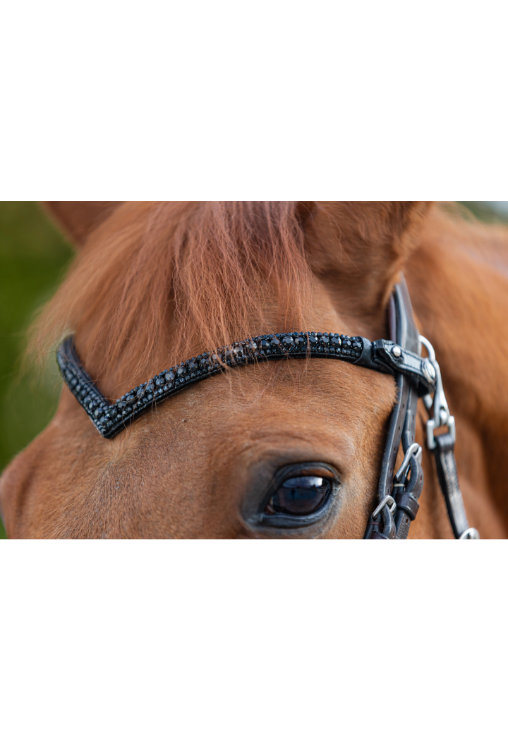Frontalino START Woden