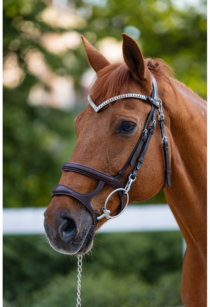 Frontalino START Woden