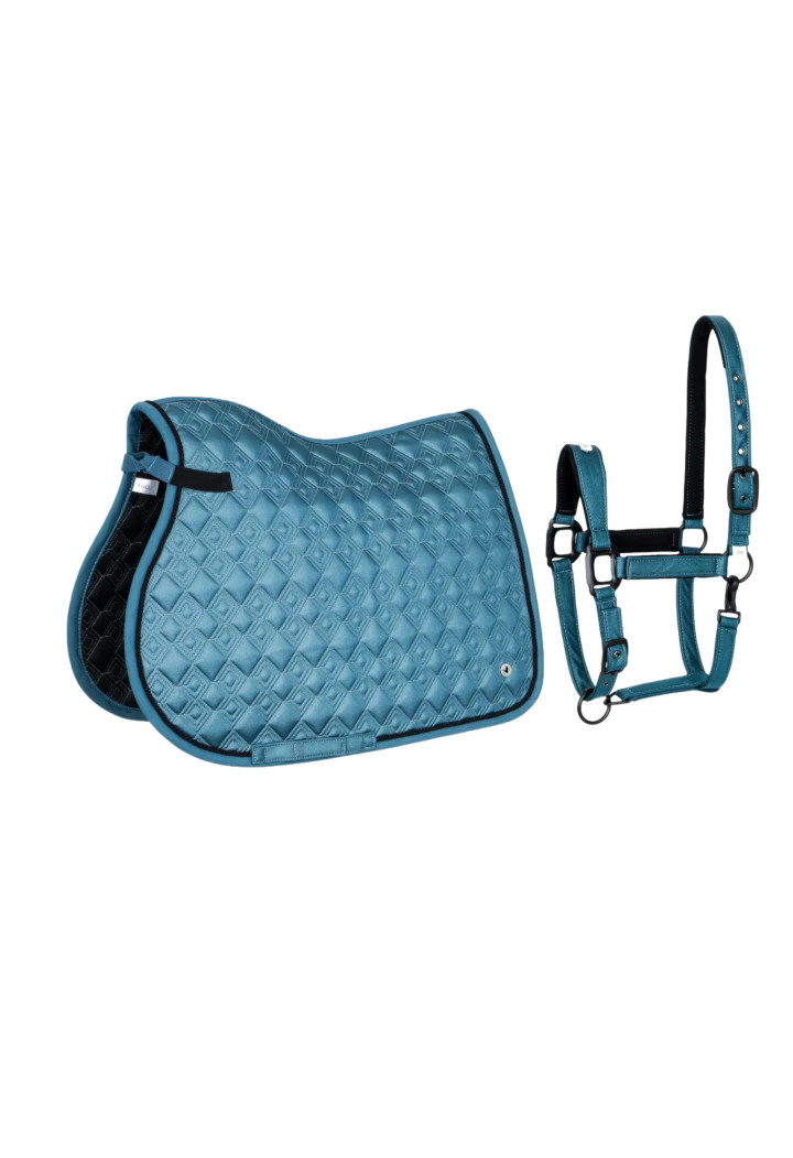 Sottosella (VS) + Cavezza (COB) EQ Stuttgart blue