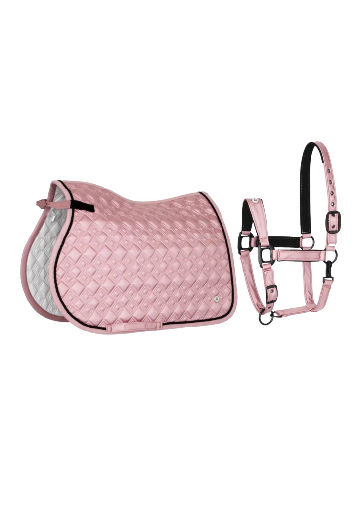 Sottosella (VS) + Cavezza (FULL) EQ Stuttgart polvere rosa