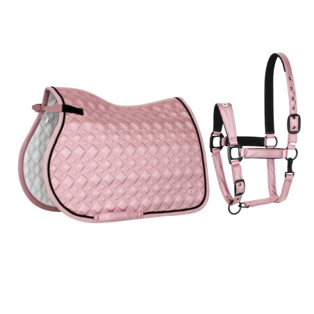 Sottosella (VS) + Cavezza (COB) EQ Stuttgart polvere rosa
