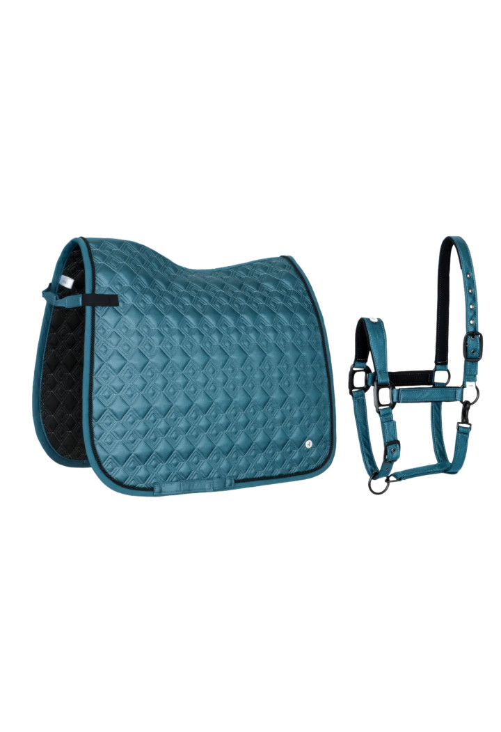 Sottosella (DR)+ Cavezza (FULL)EQ Stuttgart ice blue