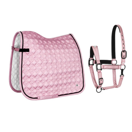 Sottosella (DR) + Cavezza (COB) EQ Stuttgart polvere rosa