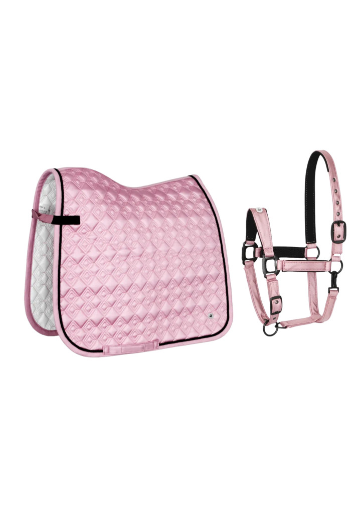 Sottosella (DR) + Cavezza (COB) EQ Stuttgart polvere rosa
