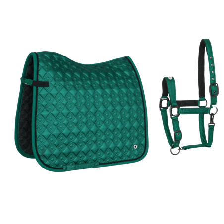 Sottosella (DR) + Cavezza (FULL) EQ Stuttgart verde scuro