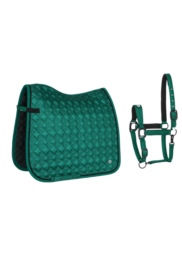 Sottosella (DR) + Cavezza (FULL) EQ Stuttgart verde scuro