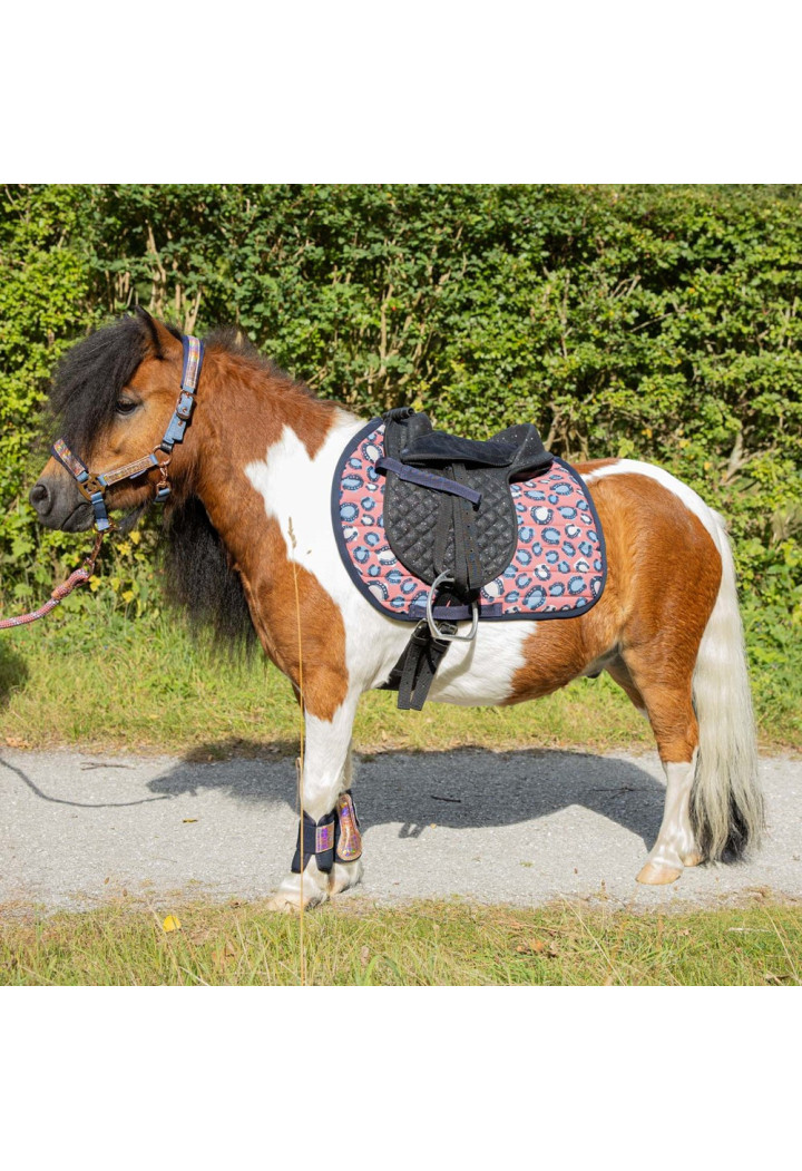 Sottosella per pony Harry's Horse Diva Mauvewood 26SS