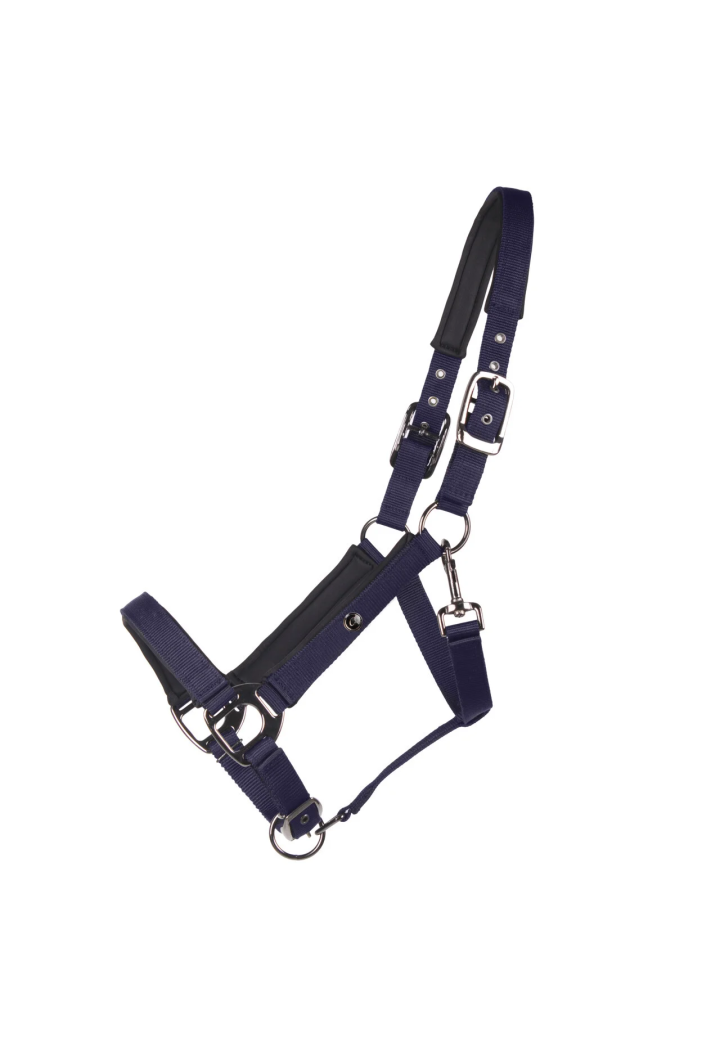 Cavezza QHP Deluxe