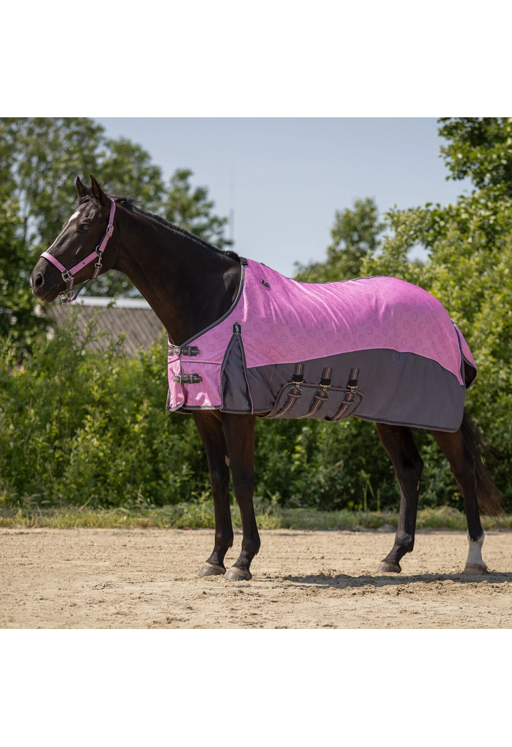 Coperta per cavalli mesh QHP Neck&Hood