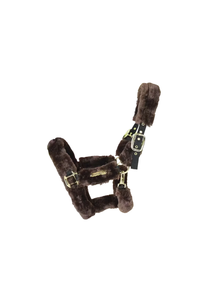 Cavezza KENTUCKY Sheepskin
