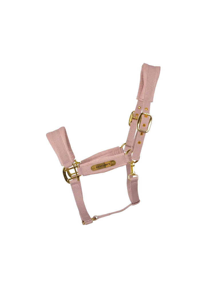 Cavezza KENTUCKY Velvet