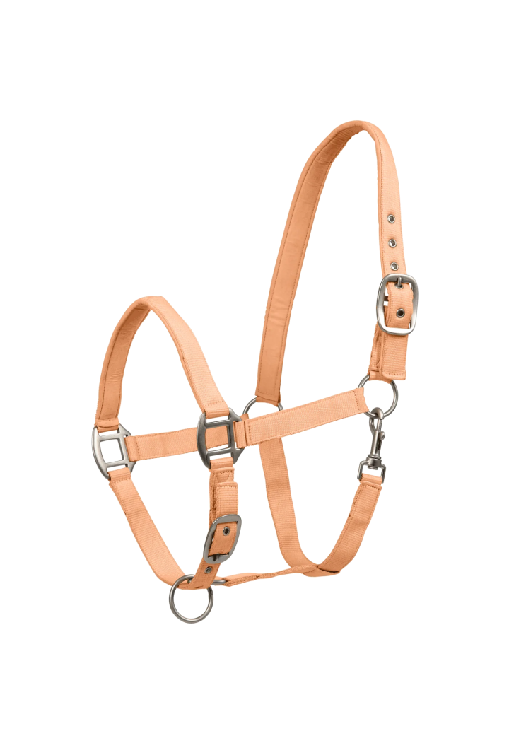 Raso Cavezza WALDHAUSEN