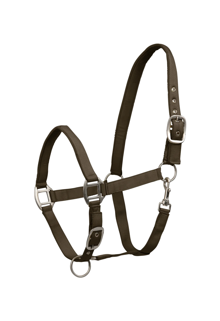 Raso Cavezza WALDHAUSEN