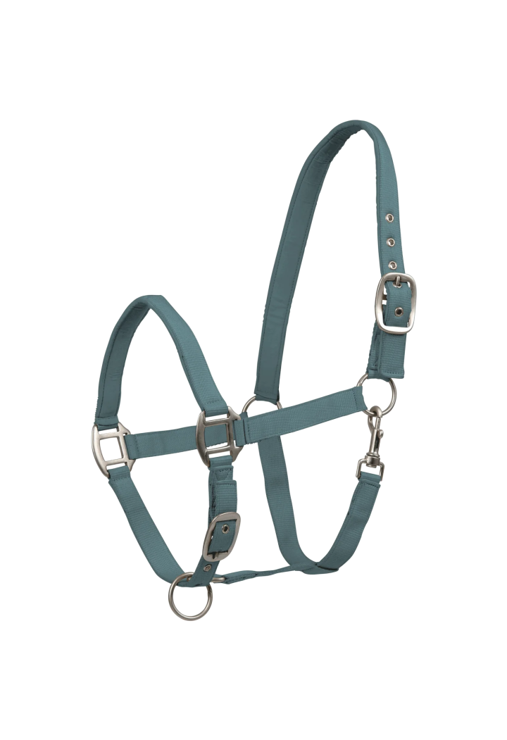 Raso Cavezza WALDHAUSEN