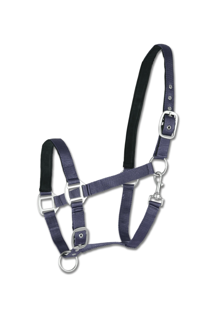 Raso Cavezza WALDHAUSEN