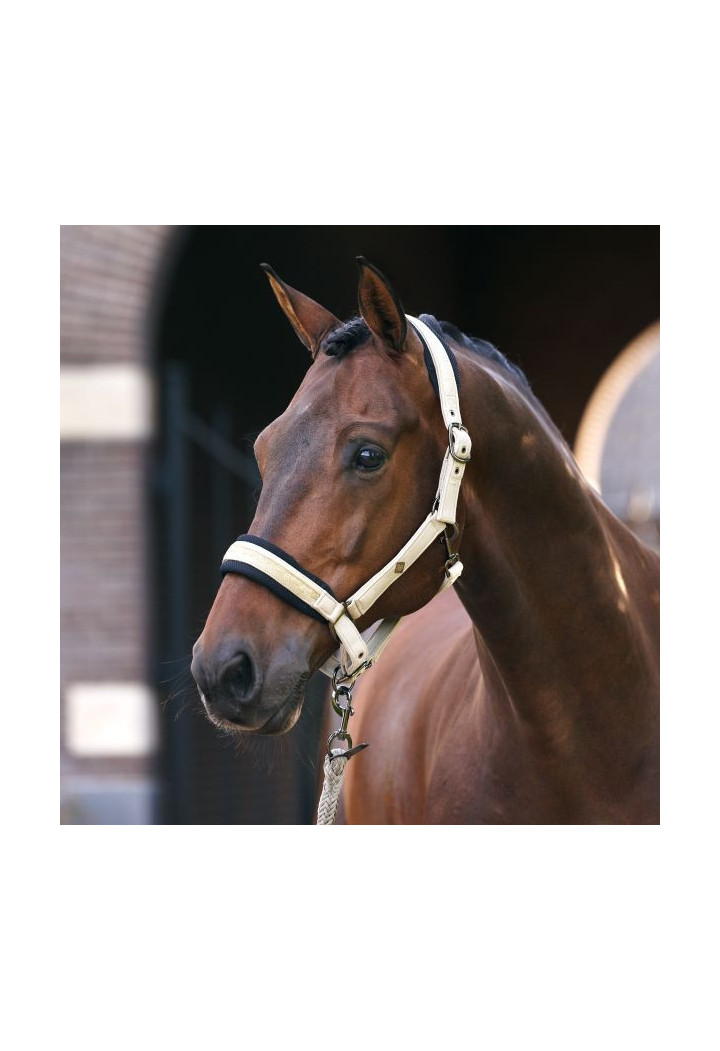 Cavezza con sottotitolo Imperial Riding IRHJewel Mesh