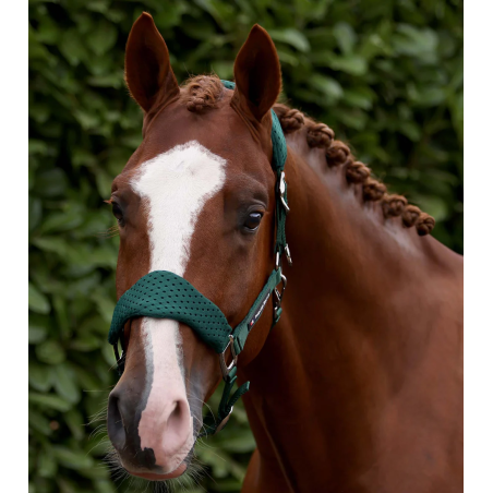 Cavezza con lunghina PREMIER EQUINE Necto 3D Mesh