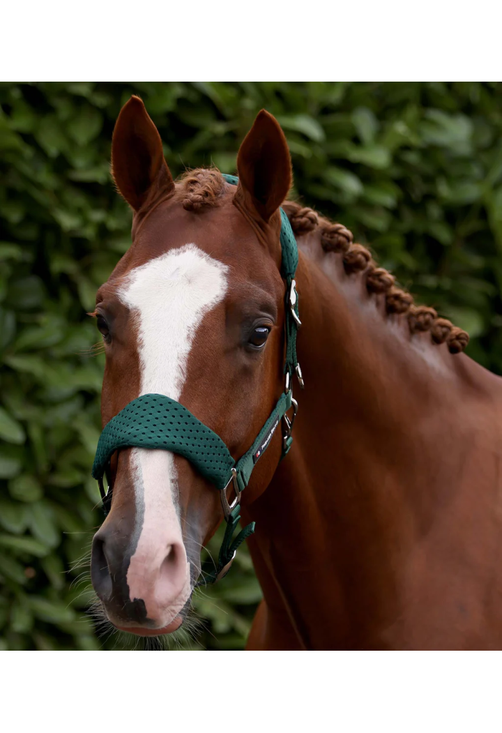 Cavezza con lunghina PREMIER EQUINE Necto 3D Mesh