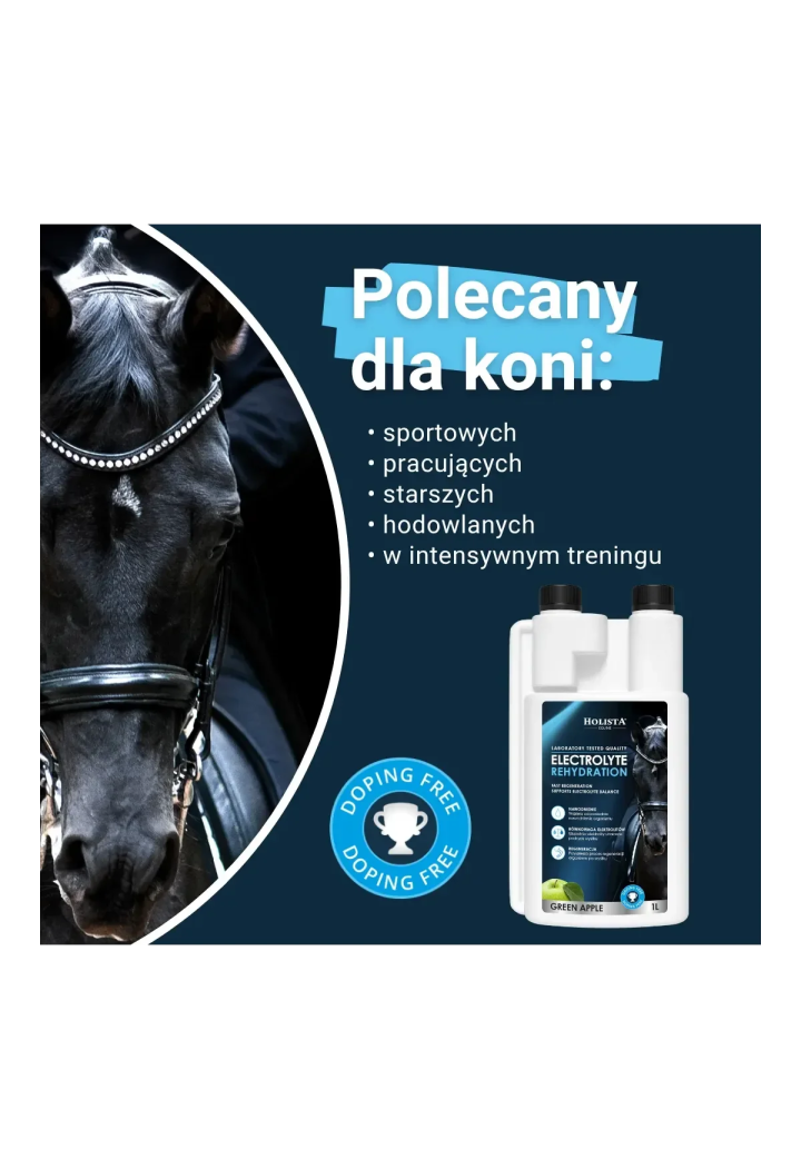 Elettroliti HOLISTA Electrolytes Rehydration 1l