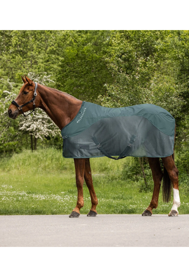 Coperta per cavalli rete di pioggia WALDHAUSEN Comfort