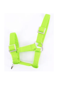 Neon verde chiaro