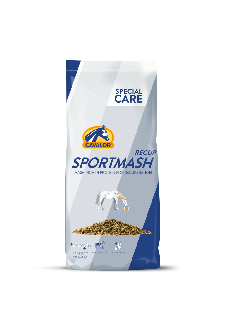 Pastone CAVALOR Sportsmash Recup con elettroliti 15kg