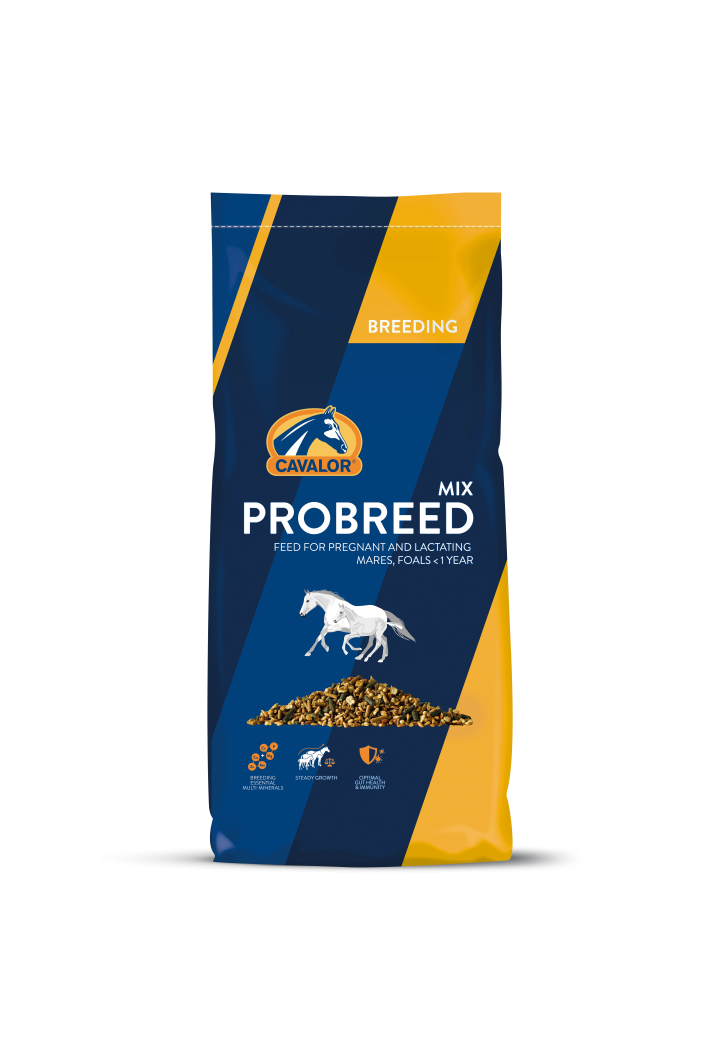 Alimentazione per allevamenti CAVALOR Probreed Mix 20kg musli