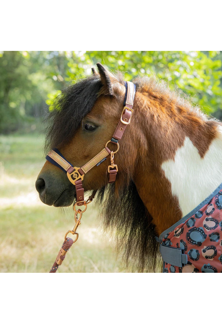 Cavezza lunghina Harry's Horse Diva Mauvewood 26