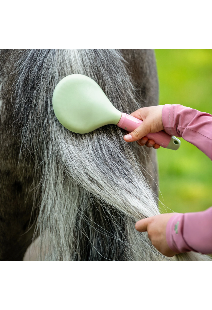 QHP Lucky Star Soft Brush Set