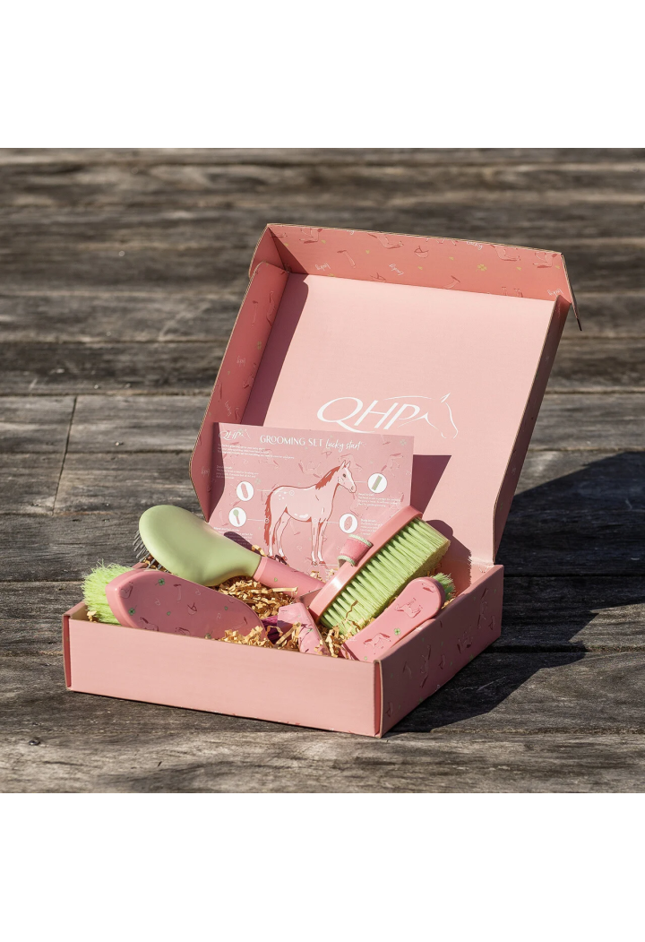 QHP Lucky Star Soft Brush Set
