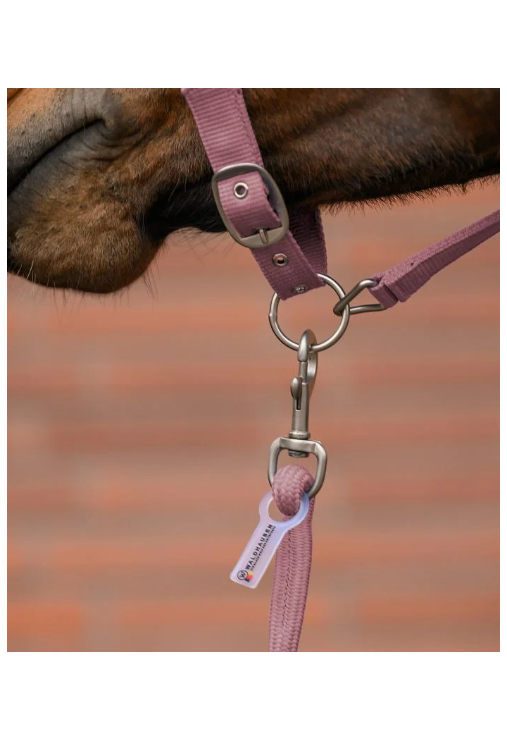 Cavezza e lunghina WALDHAUSEN Velvet