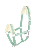 verde chiaro