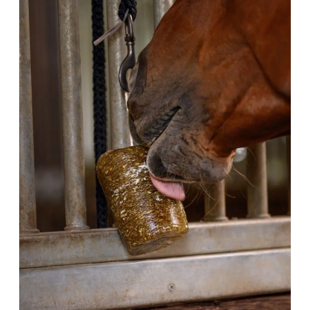 WALDHAUSEN StableSnack Herbal Lick 1kg