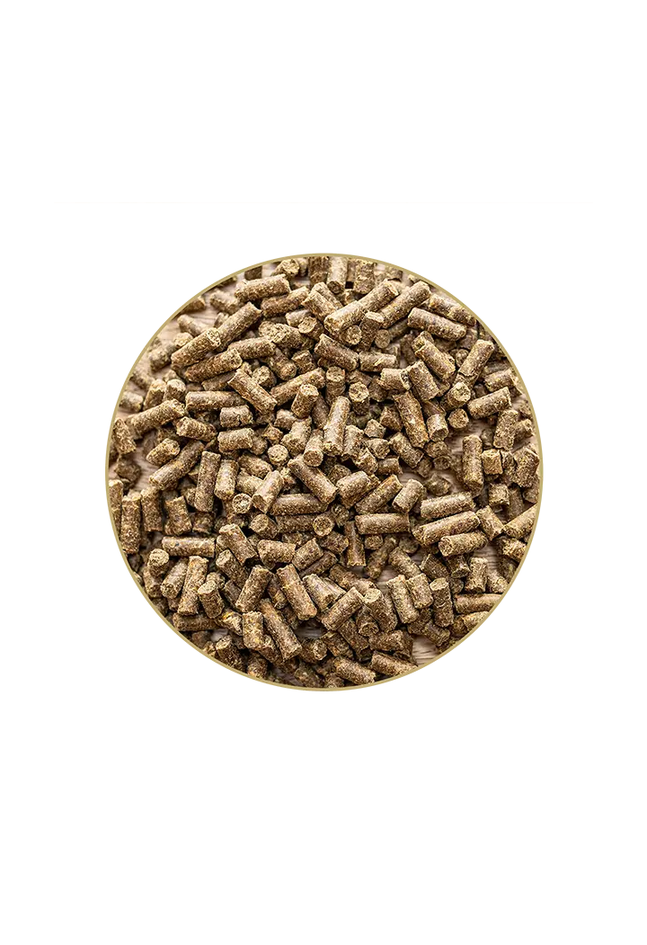 Biotin ST.HIPPOLYT granuli biotina