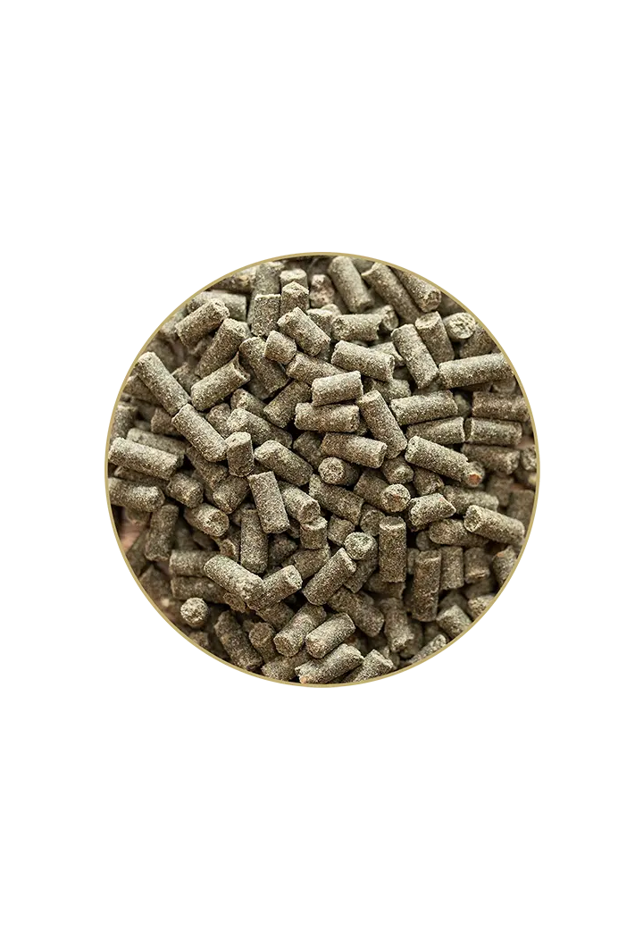 ST.HIPPOLYT Gold Medal Granula Supplemento