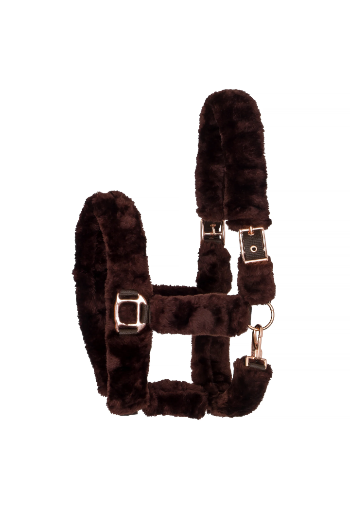 Cavezza START Teddy RoseGold
