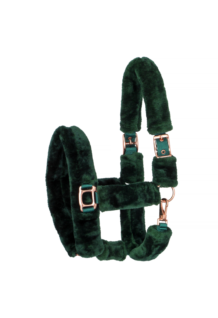 Cavezza START Teddy RoseGold