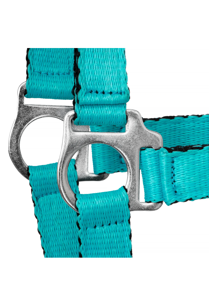 Cavezza HORSE-TRADE Soft Neon